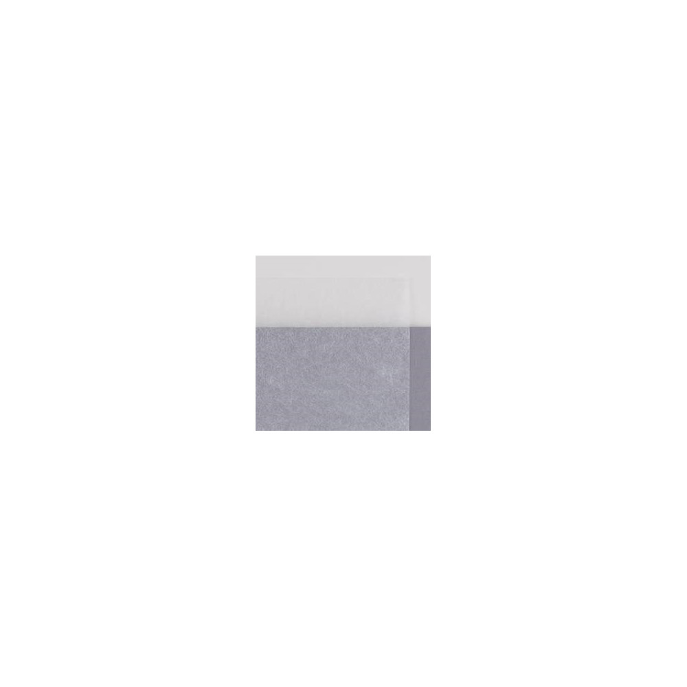 JAPANESE PAPER ART. 502 TENGUJO KASHMIR 9 g/m² - dim. 480x940 mm (bulk)